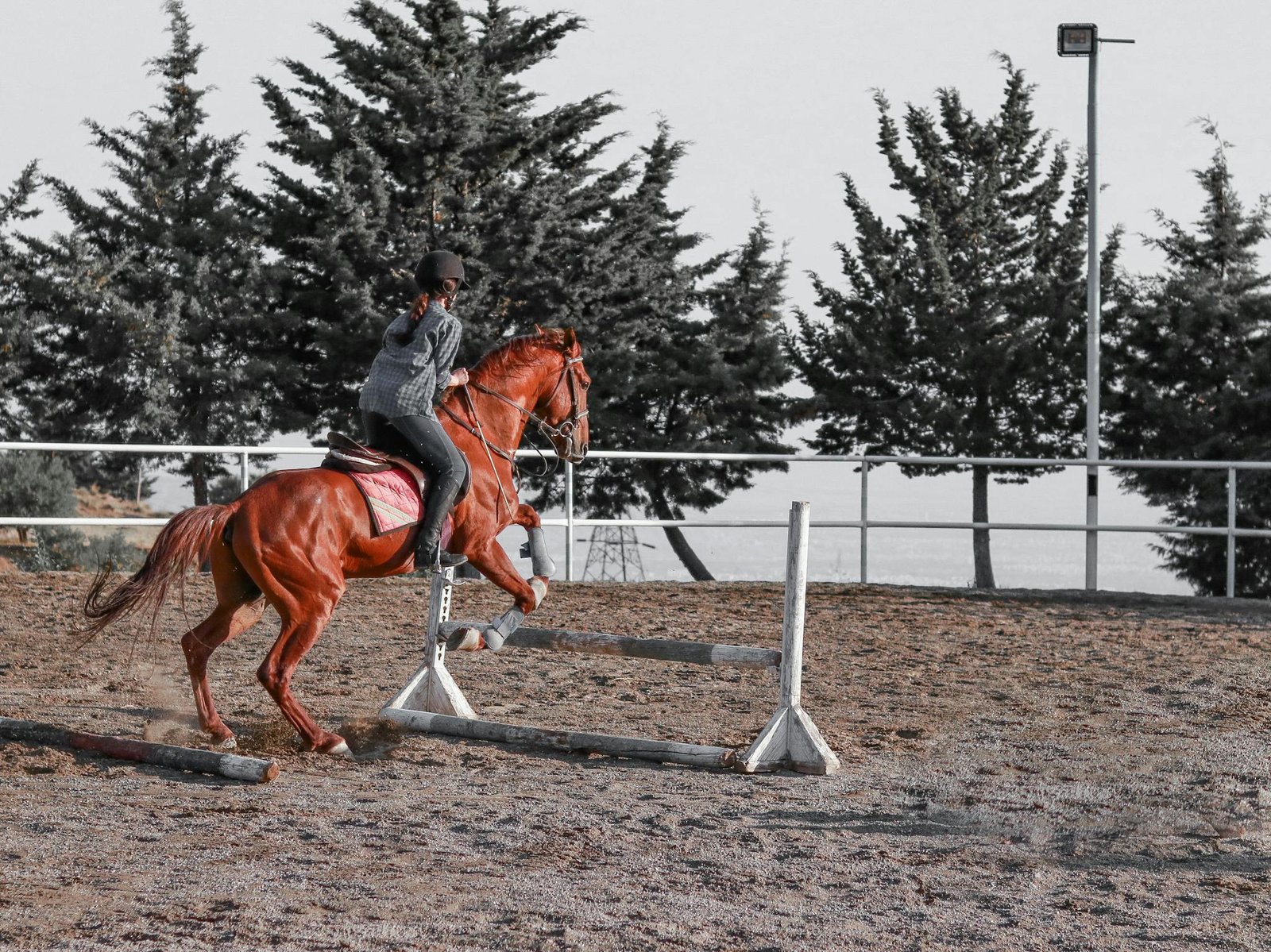 Photo Of Woman Riding Horse